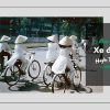 Xe Đạp Cào Cào - Xe Đạp Khung - Xe Đạp Mini Nhật: Bộ 3 xe đạp "Huyền Thoại" trong ký ức người Việt