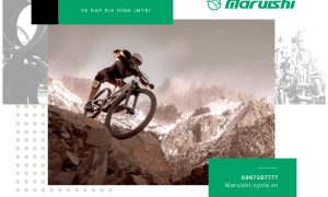 Xe đạp địa hình là gì? Xe đạp địa hình (Mountain Bike, MTB): Định nghĩa, cấu tạo, ưu nhược của Xe Đạp Địa Hình (MTB)