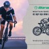 Xe đạp địa hình là gì? Xe đạp địa hình (Mountain Bike, MTB): Định nghĩa, cấu tạo, ưu nhược của Xe Đạp Địa Hình (MTB)
