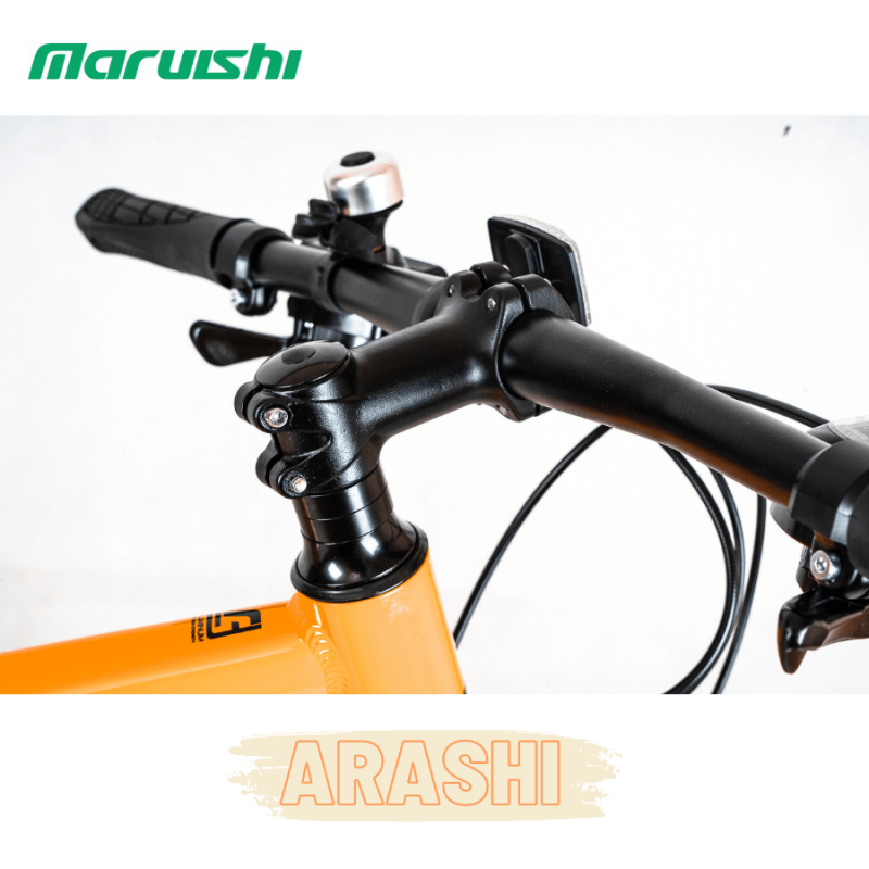 Xe đạp thể thao Nhật ARASHI