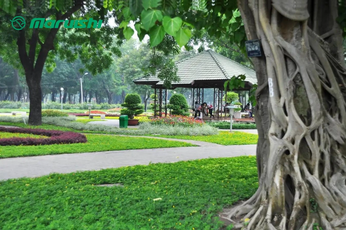 Công viên Gia Định là nơi siêu lí tưởng để đạp xe
