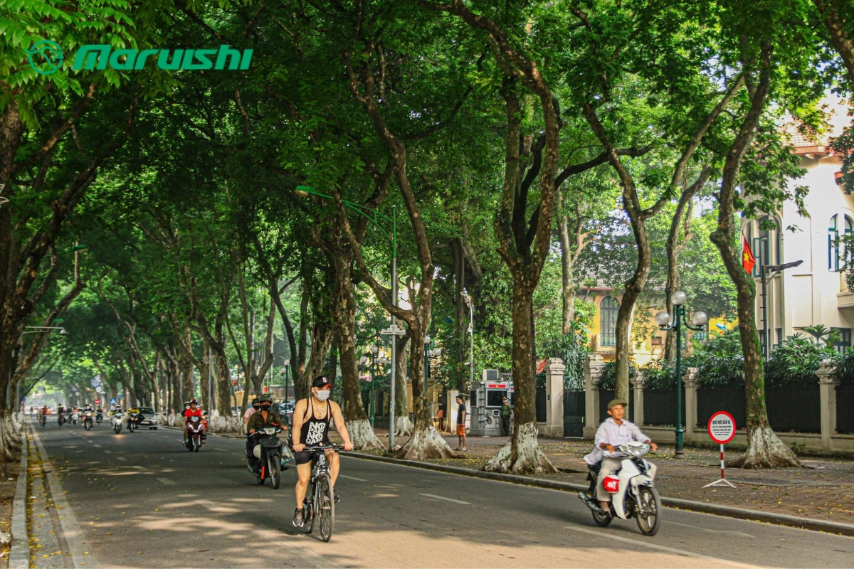 Đạp xe trên những con đường trung tâm Hà Nội là điều lãng mạn mà bạn nên thử