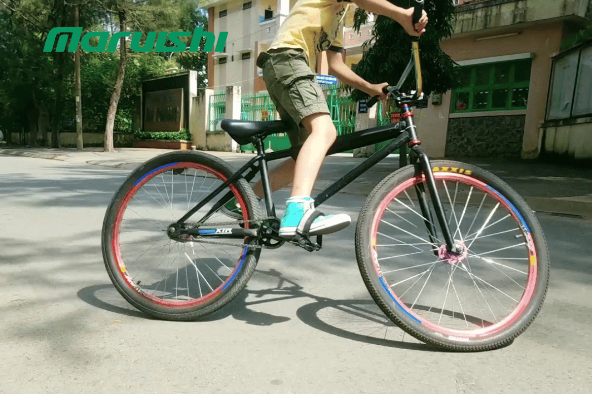 Xe đạp số cố định (Track/ Fixed-Gear Bike)