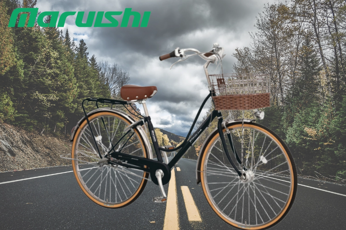 Xe đạp trợ lực điện mang lại sức khỏe vượt trội cho người dùng 