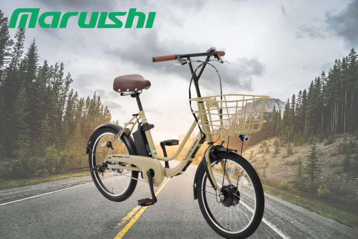 Xe đạp trợ lực điện là giải pháp tối ưu và tiết kiệm nhiên liệu 