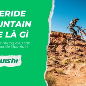 Điều cần biết về xe đạp địa hình phiêu lưu (Freeride Mountain Bike)
