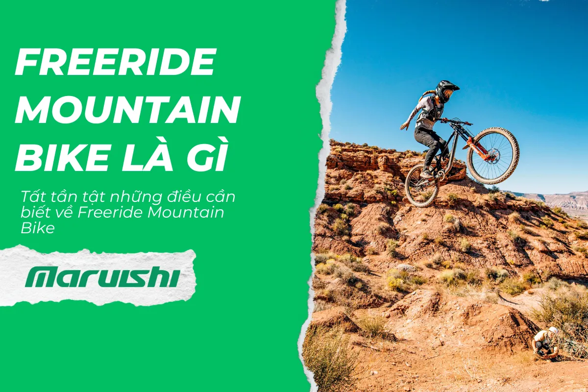 Điều cần biết về xe đạp địa hình phiêu lưu (Freeride Mountain Bike)