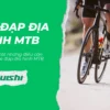 Xe đạp địa hình MTB là gì? Cấu tạo và ưu, nhược điểm của xe đạp MTB