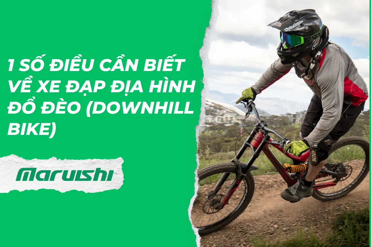 1 số điều cần biết về xe đạp địa hình đổ đèo (Downhill Bike)