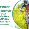 Nên chọn xe đạp đua (road) hay xe đạp địa hình (MTB)?