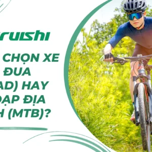 Nên chọn xe đạp đua (road) hay xe đạp địa hình (MTB)?