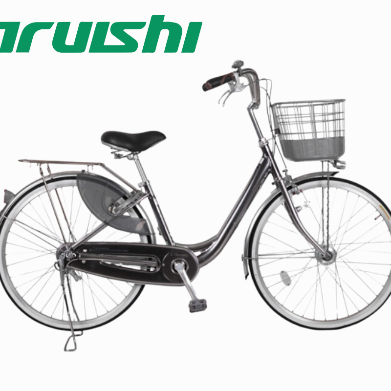 Xe đạp Maruishi CAT2611