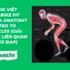 [Ebook Việt Hóa] Bike Fit (2022): Anatomy related to bicycles (Giải phẫu liên quan đến xe đạp)