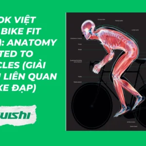 [Ebook Việt Hóa] Bike Fit (2022): Anatomy related to bicycles (Giải phẫu liên quan đến xe đạp)