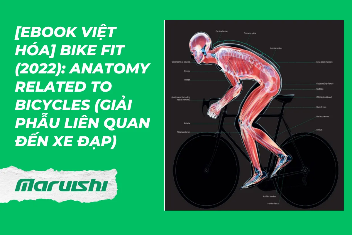 [Ebook Việt Hóa] Bike Fit (2022): Anatomy related to bicycles (Giải phẫu liên quan đến xe đạp)