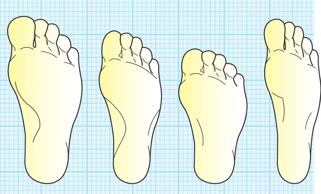 Bàn chân khác nhau không chỉ ở kích thước chiều dài hay 'cỡ giày'. Do đó, giàycủa bạn phải vừa với hình dạng bàn chân cũng như chiều dài bàn chân.