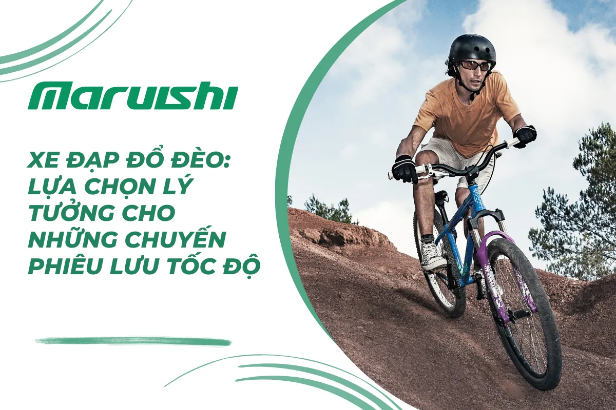 Xe đạp đổ đèo: Lựa chọn lý tưởng cho những chuyến phiêu lưu tốc độ