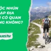 Phuộc nhún xe đạp địa hình có quan trọng không?