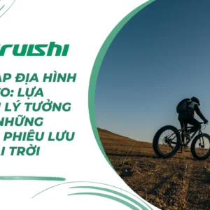 Xe đạp địa hình lốp to: Lựa chọn lý tưởng cho những cuộc phiêu lưu ngoài trời