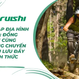 Xe đạp địa hình rừng: Đồng hành cùng những chuyến phiêu lưu đầy thách thức