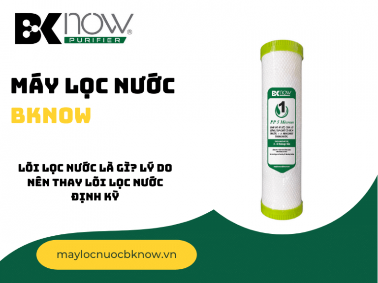 Lõi lọc nước là gì? Lý do nên thay lõi lọc nước định kỳ