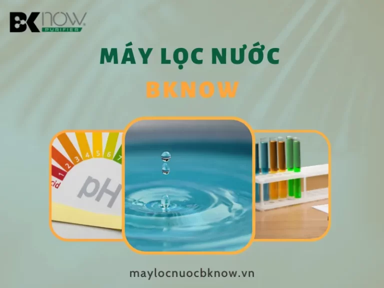 Axit, Kim Loại Nặng Có Trong Nước Sẽ Ảnh Hưởng Ra Sao?