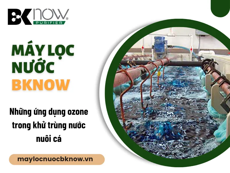 Những ứng dụng ozone trong khử trùng nước nuôi cá