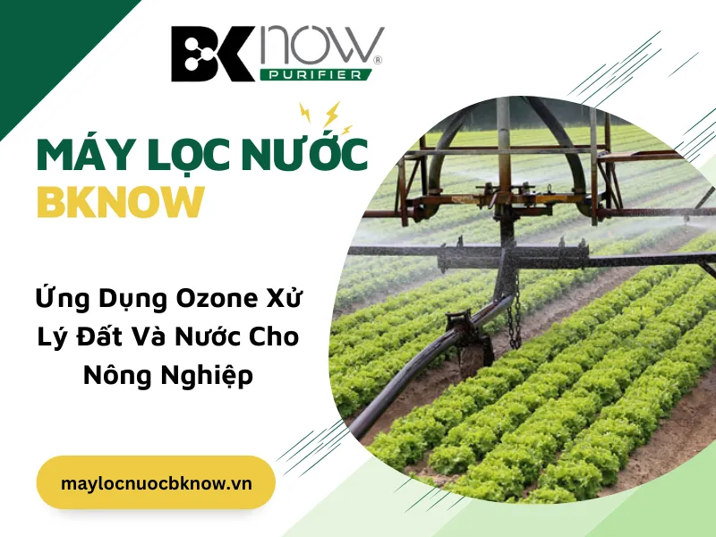 Ứng Dụng Ozone Xử Lý Đất Và Nước Cho Nông Nghiệp