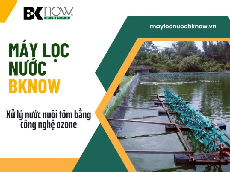 Xử lý nước nuôi tôm bằng công nghệ ozone