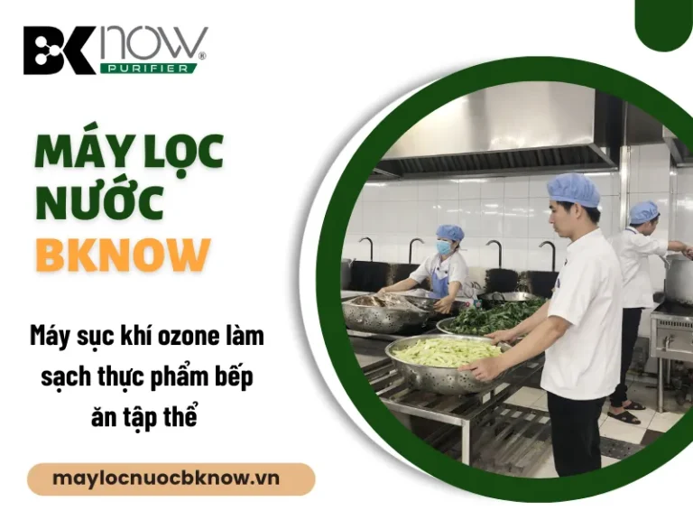 Máy sục khí ozone làm sạch thực phẩm bếp ăn tập thể