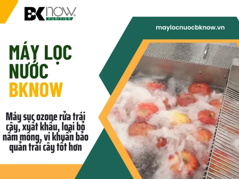 Máy sục ozone rửa trái cây, xuất khẩu