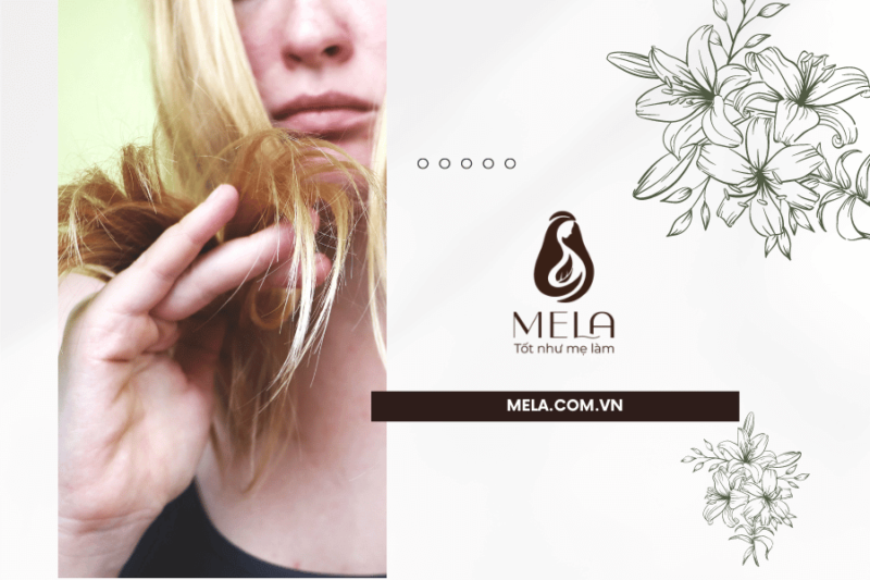 Nhận biết các mức độ hư tổn của tóc