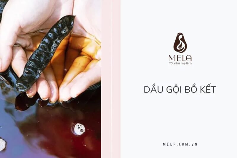 Nấu nước bồ kết thay cho dầu gội đầu
