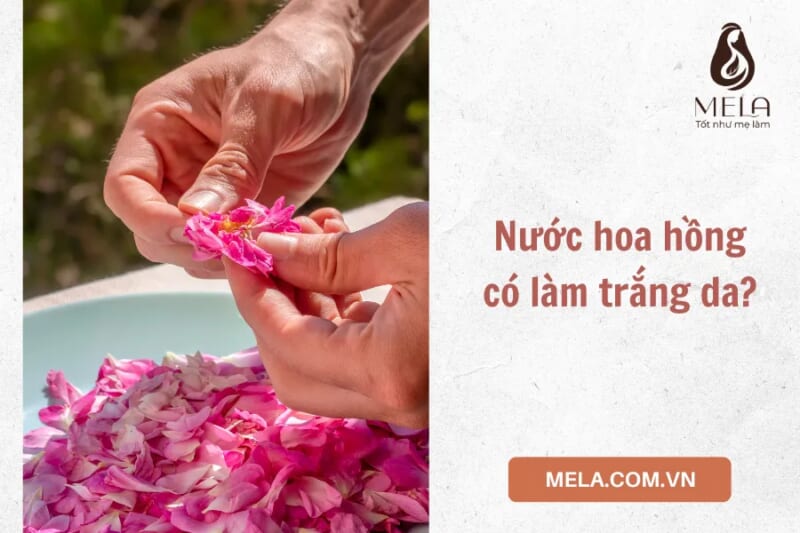 Tự làm nước hoa hồng dưỡng trắng da đơn giản tại nhà