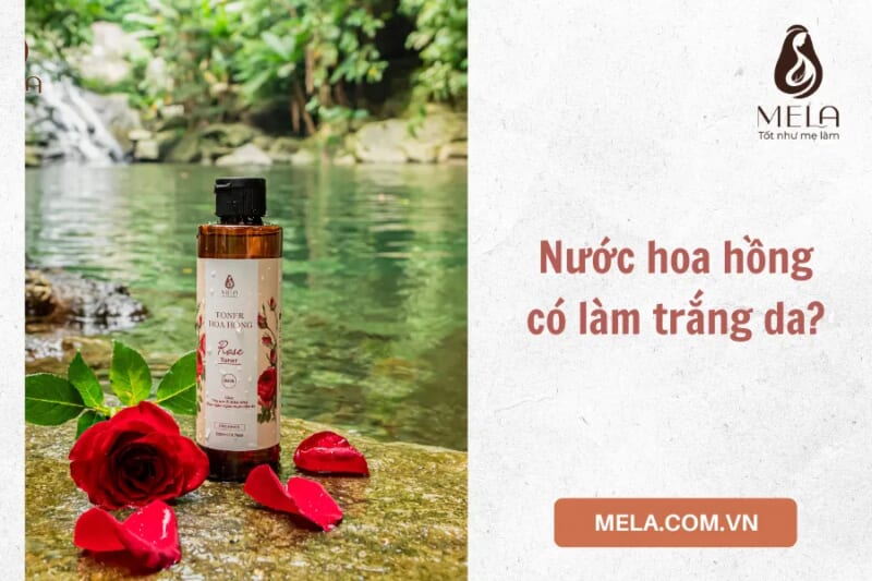 Nước Toner hoa hồng Mela