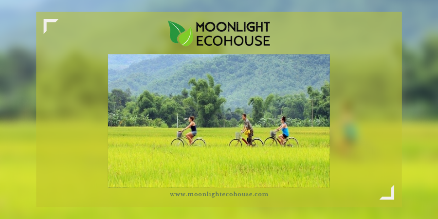 Trải nghiệm thú vị nhất khi đến Mai Châu Là Đạp xe phám Phá thung lũng xinh đẹp này