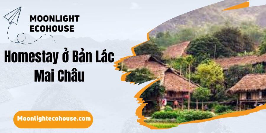 Homestay ở Bản Lác Mai Châu: Moonlight Ecohouse
