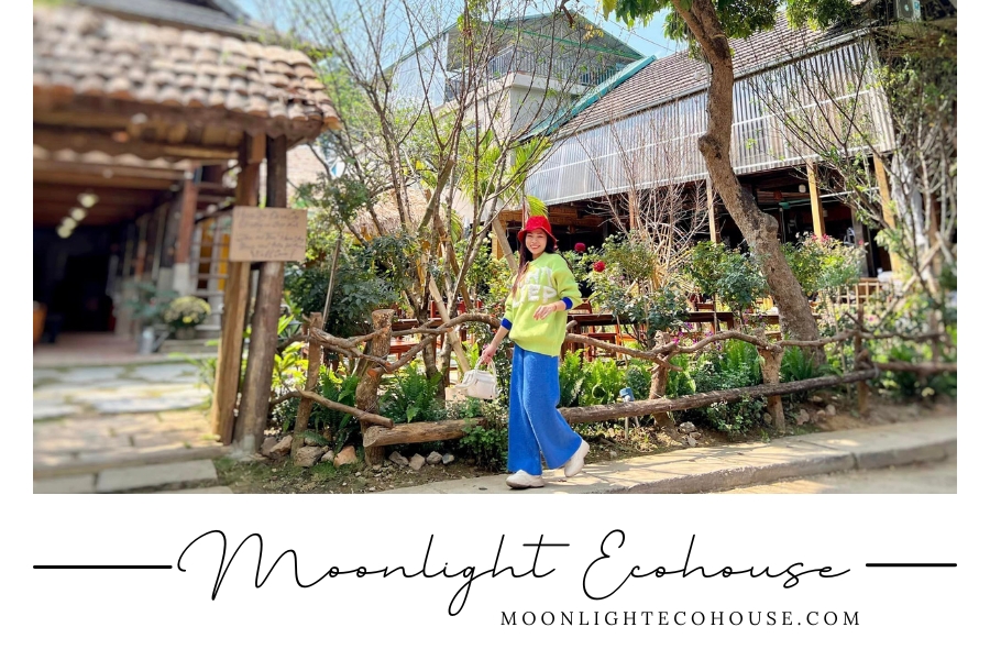 Quán cafe Đá và Cây Bản Lác 1, sát vách Moonlight Ecohouse Homestay