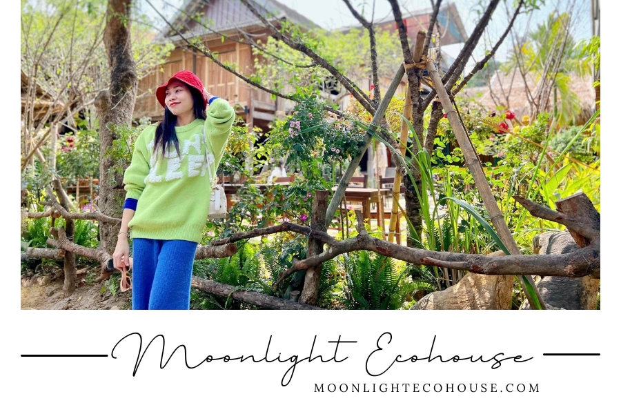 Quán cafe Đá và Cây Bản Lác 1, sát vách Moonlight Ecohouse Homestay