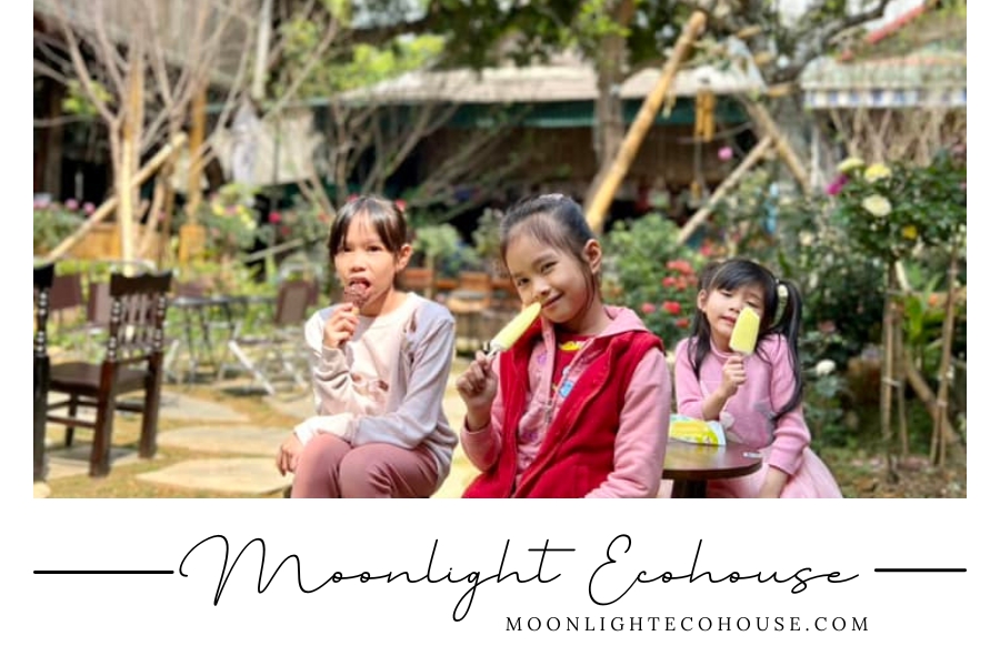Quán cafe Đá và Cây Bản Lác 1, sát vách Moonlight Ecohouse Homestay