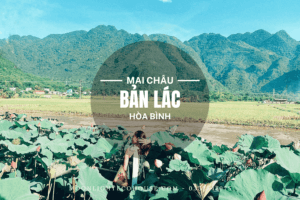 Bản Lác Mai Châu Hòa Bình - Tất Tần Tật Những Gì Bạn Cần Biết