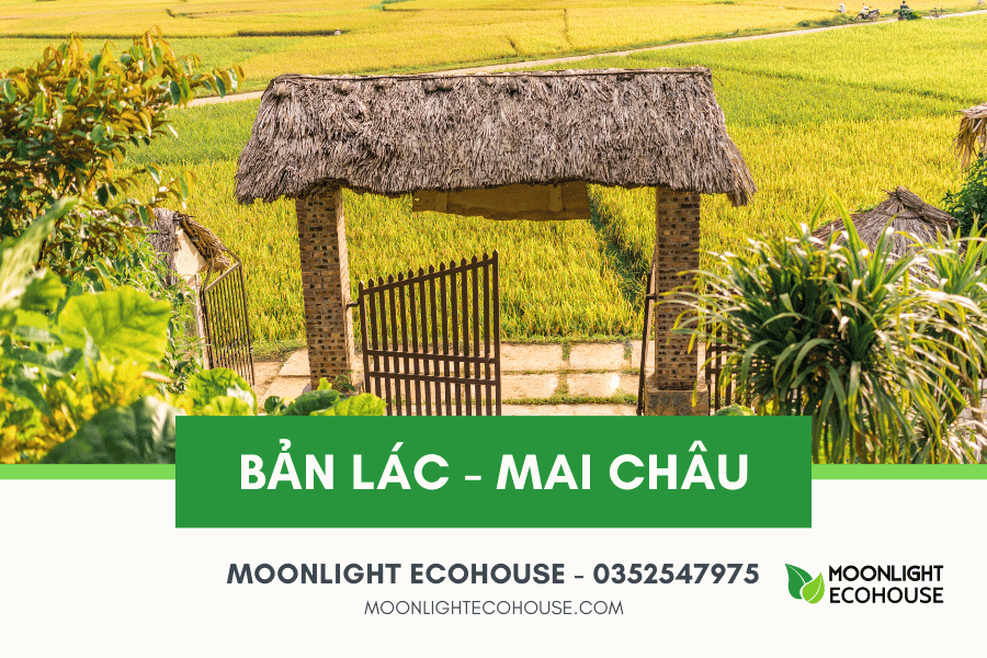 Du lịch Bản Lác: Điểm đáng đến ở thung lũng Mai Châu, Hòa Bình, Việt Nam