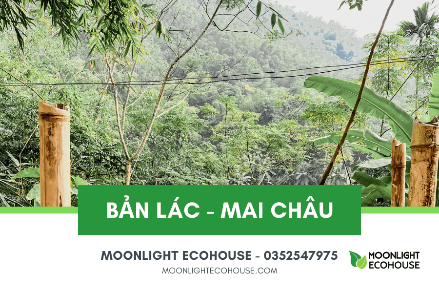 Du lịch Bản Lác: Điểm đáng đến ở thung lũng Mai Châu, Hòa Bình, Việt Nam