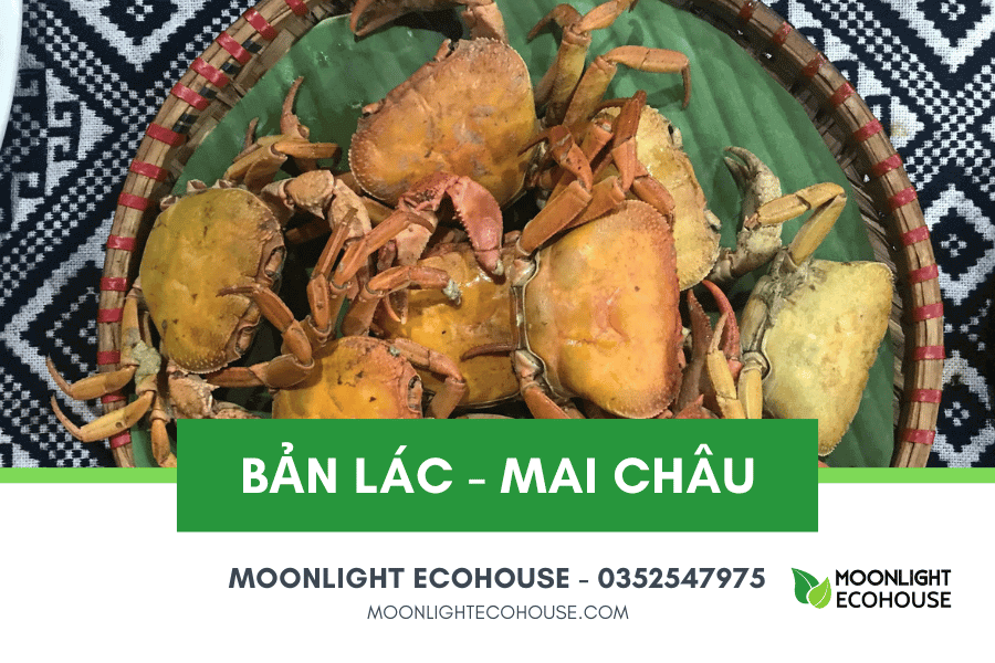 Du lịch Bản Lác: Điểm đáng đến ở thung lũng Mai Châu, Hòa Bình, Việt Nam