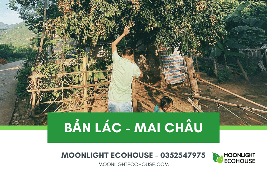Du lịch Bản Lác: Điểm đáng đến ở thung lũng Mai Châu, Hòa Bình, Việt Nam