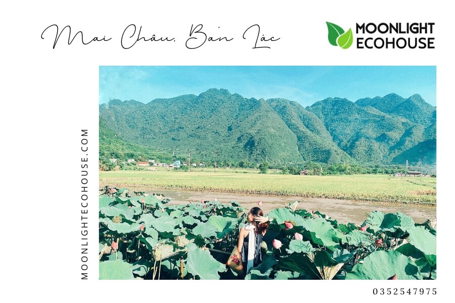Review Bản Lác: Kinh Nghiệm Du Lịch Bản Lác 2023