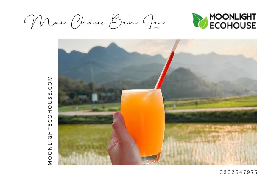 Review Bản Lác: Kinh Nghiệm Du Lịch Bản Lác 2023