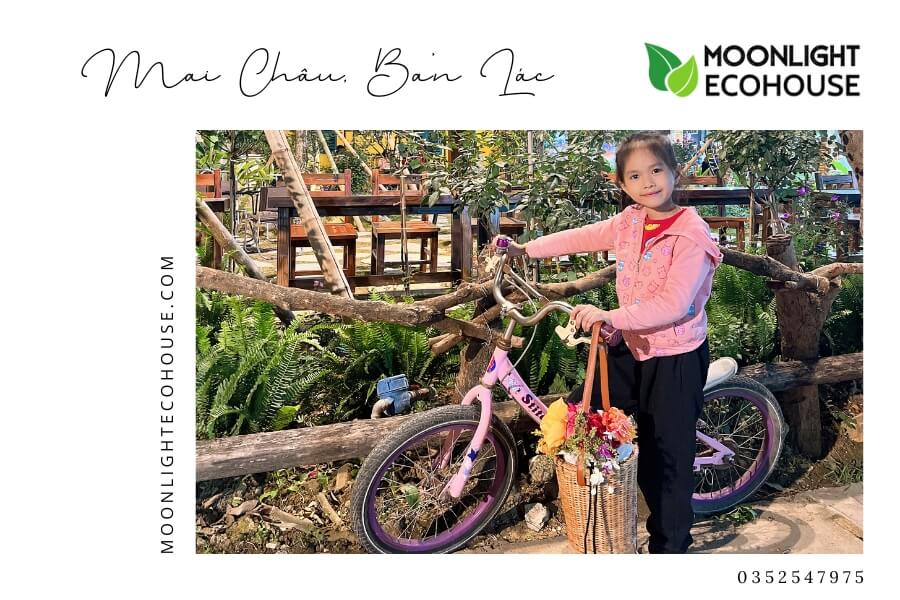 Review Bản Lác: Kinh Nghiệm Du Lịch Bản Lác 2023