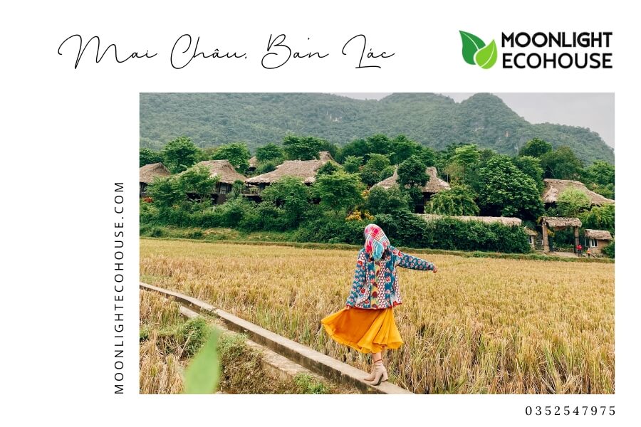 Review Bản Lác: Kinh Nghiệm Du Lịch Bản Lác 2023