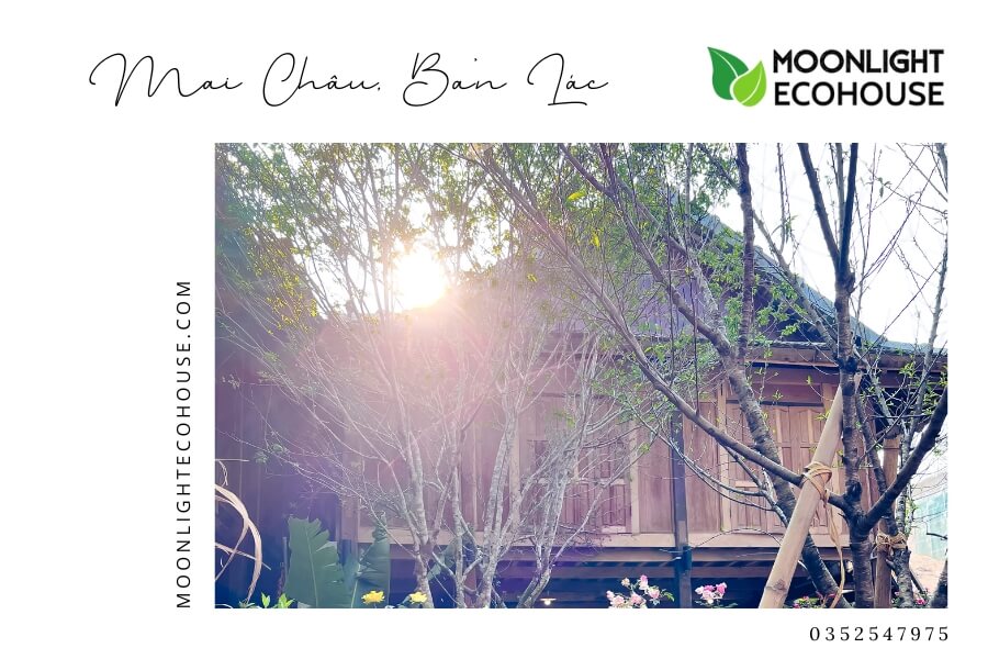 Review Bản Lác: Kinh Nghiệm Du Lịch Bản Lác 2023
